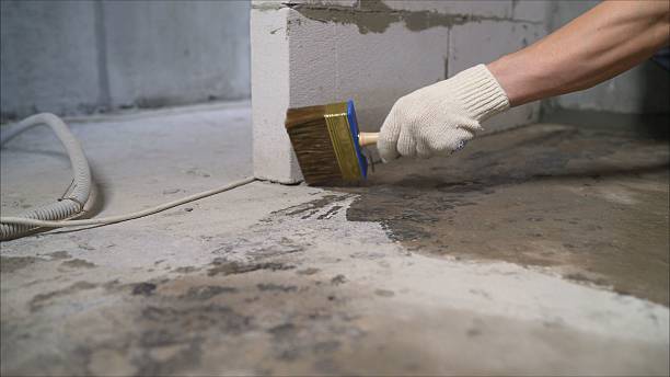 24/7 Emergency Wet Basement Repair experts in Alvada, OH